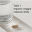 Sports Research, Ashwagandha Orgánica KSM-66. 90 Vcaps.