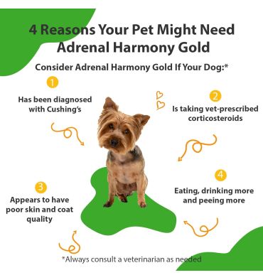 Soporte Adrenal Gold para Perros y Gatos con Cushing. 59 ml.