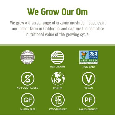 Hongo Reishi, soporte Inmune y Adaptógeno. 90 caps