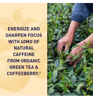 Vinagre de Manzana Energía, Té Verde. 63 Gomitas