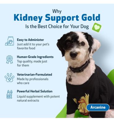 Soporte Renal Gold para Perros y Gatos. 2 oz.