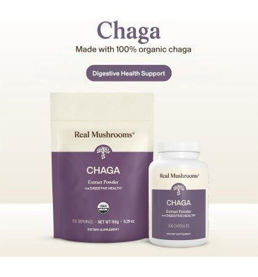 "Digestive Health"; Extracto de Hongo Chaga Orgánico. 60 gr