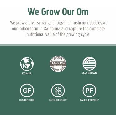 Mezcla de Hongos Relax, Reishi, Aswaghandha, Gaba, Magnesio. 90 unidades