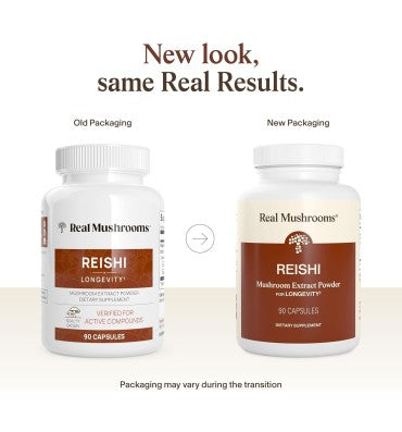 Extracto de Hongo Reishi Orgánico "Longevity". 4 opc