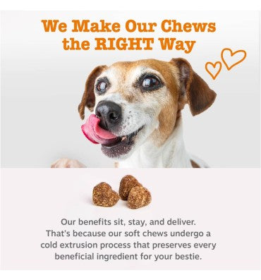 Senior Advanced Gut Health. Probioticos y Enzimas Digestivas, soporte Sistema Digestivo. 90 chews