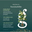 Gaia Herbs, Raiz de Ashwagandha. 60 Vcaps