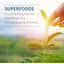 Garden of Life Dr. Formulated, Quercetina soporte Recuperación Muscular con Zinc y Cúrcuma. 30 tabletas