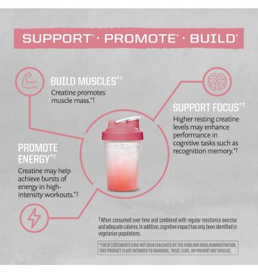 Monohidrato de Creatina Activa Vegano. 300 gr.