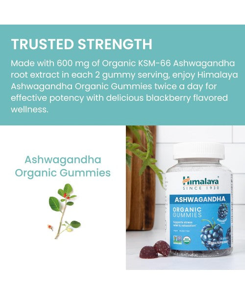 Himalaya, Ashwagandha Orgánica sabor Mora. 60 Gomitas