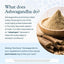 Youtheory, Ashwagandha  y Cúrcuma. 60 unidades