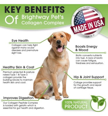 K9 Péptidos de Colágeno Grass Fed con Biotina para Perros.284.5 gr