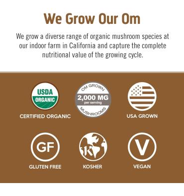 Mezcla de Hongos para Café Latte, 10 pack