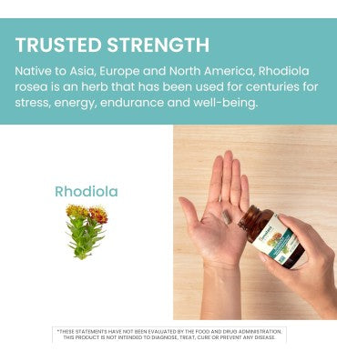 Rhodiola Rosea soporte para Estress. 60 caps.