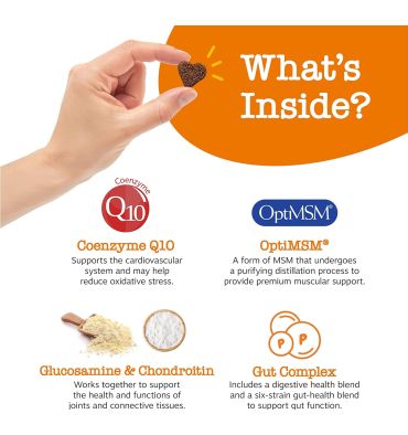 Multivitamínico Natural para Perros 8 en 1, 90 chews