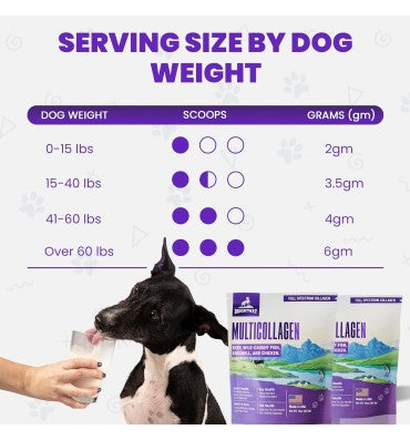 Péptidos de Multicolágeno para Perros. 283.5 gr