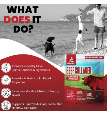 Péptidos de Colágeno Natural de Bovino Grass Fed, tipo I y III, para Perros. 283.5 gr