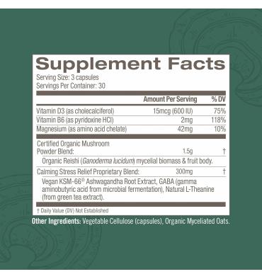 Mezcla de Hongos Relax, Reishi, Aswaghandha, Gaba, Magnesio. 90 unidades