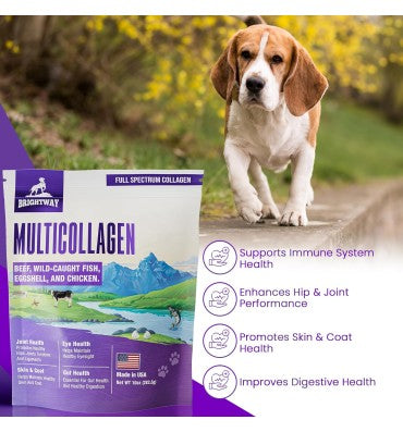 Péptidos de Multicolágeno para Perros. 283.5 gr