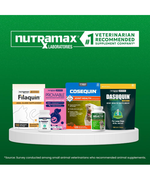 Nutramax, Welactin Daily Omega-3, EPA + DHA + betaglucanos para perros, 60 masticables blandos