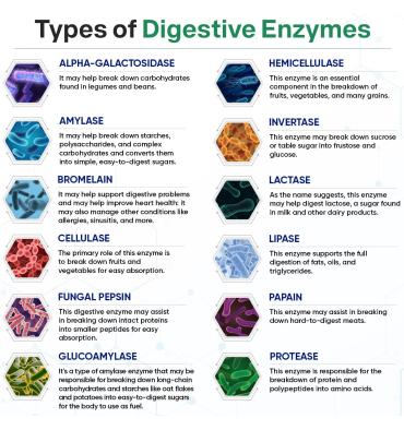 Enzimas Digestivas, Prebióticos y Probióticos. 180 caps.