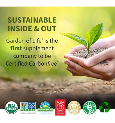 Magnesio Quelado en Polvo sabor Frambuesa Limón. 198.4 gr.