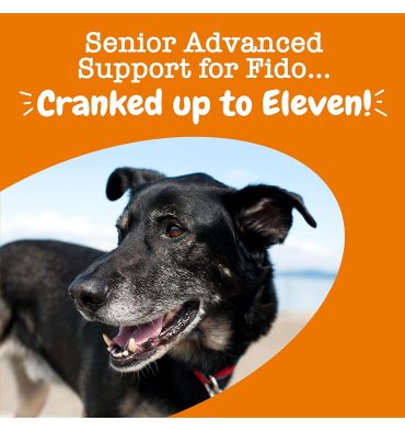 Suplemento Multifuncional 11 en 1 para perros. 90 chews