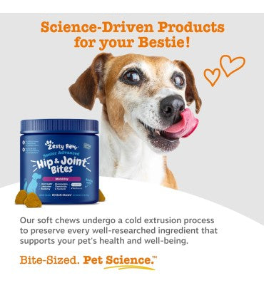Senior Advanced Mobility Joint. Supplemento con Glucosamina, Chondroitina y MSM, Vitamina C y E, sabor Pollo.90 chews