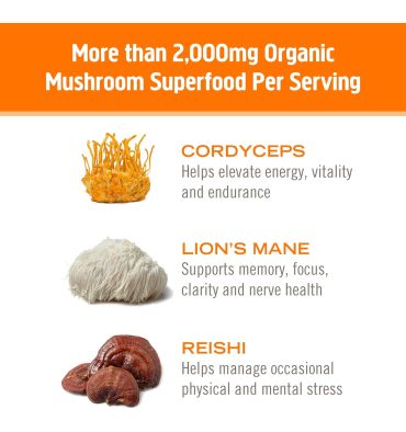 Mezcla de Hongos Energy Plus Antes de Ejercico. 10 sobres