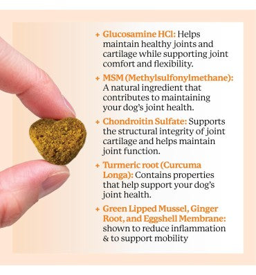 Hip and Joint for Dogs, Daily Mobility Supplement. 90 chews
