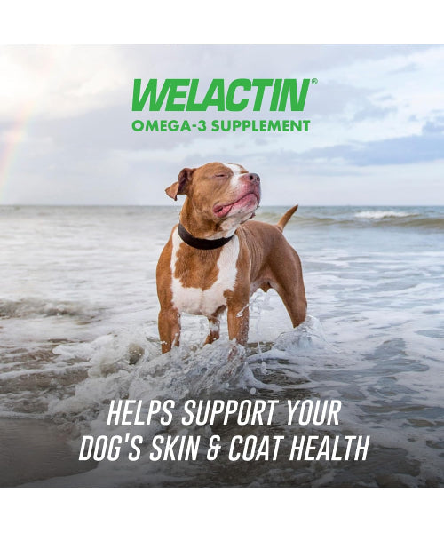 Nutramax, Welactin Daily Omega-3, EPA + DHA + betaglucanos para perros, 60 masticables blandos