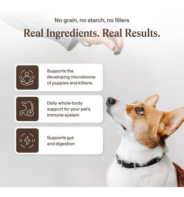 "Pets Cognition"; Hongo Lion`s Mane Orgánico. 120 gr.