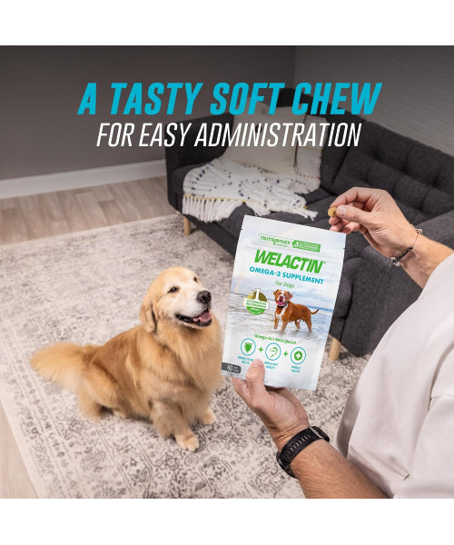 Nutramax, Welactin Daily Omega-3, EPA + DHA + betaglucanos para perros, 60 masticables blandos