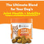 Hip and Joint for Dogs, Daily Mobility Supplement. 90 chews