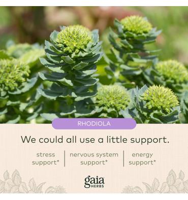 Adrenal Health, Soporte Diario, 120 vcap.