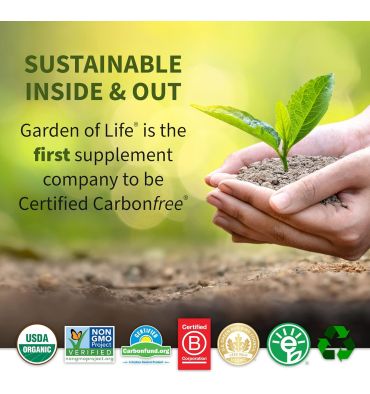 Proteína Raw Orgánica y Vegana sabor Vainilla. 660 gr.