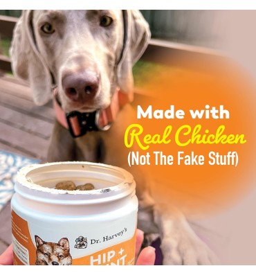 Hip and Joint for Dogs, Daily Mobility Supplement. 90 chews