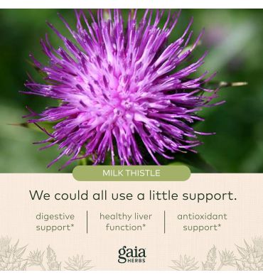 Milk Thistle Seed (Cardo Mariano), 120 vcaps.