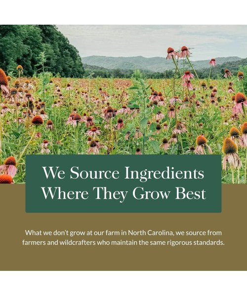 Gaia Herbs, Raíz de Ashwagandha y Hongo Cordiceps Orgánico. 60 Vcaps