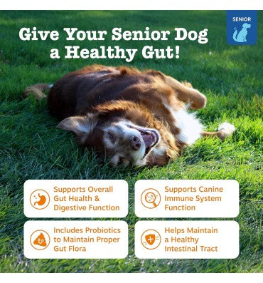 Senior Advanced Gut Health. Probioticos y Enzimas Digestivas, soporte Sistema Digestivo. 90 chews