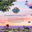 Garden of Life Dr. Formulated, Probióticos para Mujer, Uno diario. 30 Vcaps