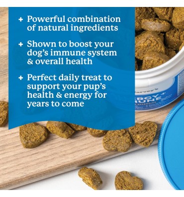 Wild Alaskan Salmon Bites Freeze Dried Dog Treats. 7 oz.