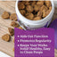 Digestive Probiotic for Dogs, 9 Probiotics for Gut Health. 90 chew