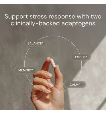 Ashwagandha + Rhodiola  BALANCE • FOCUS • CALM