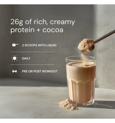 Longevity Protein Chocolate RECOVERY • FOCUS • VITALITY. 30 day