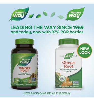 Raíz de Jengibre 1100 mg, salud digestiva. 3 opc