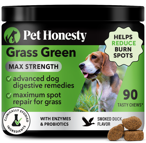 Pet Honesty Grass Green Max Strength sabor pato, 90 masticables, PH-354856