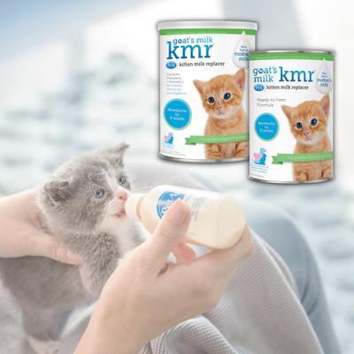 PetAg, Goat's Milk KMR Kitten Milk Replacer Powder, Prebiotics + Probiotics + Vitamins, 340 g.