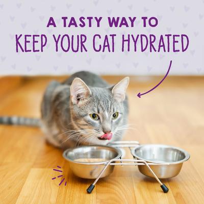 Alimento Húmedo Carnivore Cravings para Gato sabor a atún silvestre picado caja de 24