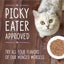 Alimento Húmedo Carnivore Cravings para Gato sabor a atún silvestre picado caja de 24