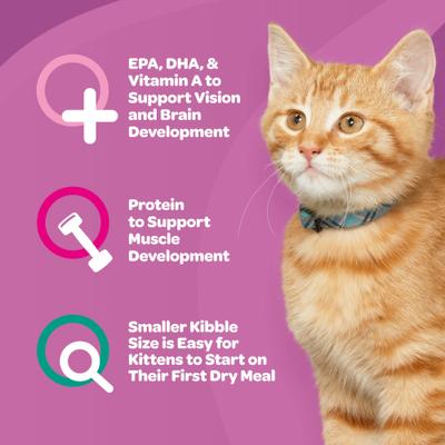 9Lives, Kitten Essentials, pollo + pescado de mar, 1.13 kg.